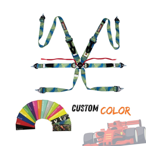 Arnés de Carreras de Seis Puntos Motorsport OEM ODM FIA 8853 2016 SPORT PLUS 4, Cinturón de Seguridad Ultrafino, Color Personalizado - Product Image 2