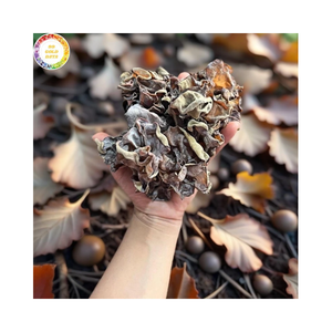 Hongos Oreja de Puerco Secos Naturales, Hongos Negros Enteros, Suministro a Granel para Marcas de Empaques de Alimentos - Product Image 1