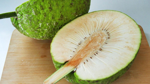 Poudre de fruit de saké, farine de fruit du pain, poudre d'Artocarpus Altilis, texture fine et lisse, agent liant pour pâte, pour muffins Ulu, OEM - Product Image 5