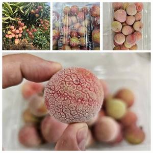Exportateur de litchi congelé/litchi IQF du Vietnam/Mme Selina - Product Image 2
