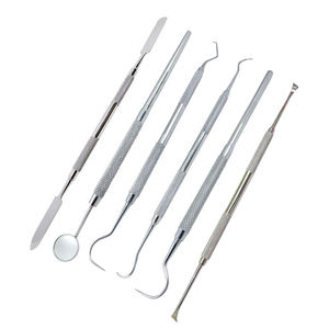 ชุดเครื่องมือขูดหินปูนทางทันตกรรม/ชุดอุปกรณ์สุขอนามัยทางทันตกรรม/ชุดทำความสะอาดฟัน คุณภาพสูง ผลิตจากเหล็กกล้าไร้สนิมทางการแพทย์ โดย Blush surgical - Product Image 5