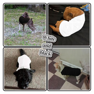 Solid Color Dog <b>Shirts</b> Lightweight Quick Dry Breathable Pet <b>T</b> <b>Shirts</b> for Small Medium and Large Dogs Stretchy Durable Tees - Product Image 6