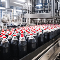 Ligne de production automatique de remplissage, rinçage et bouchage de boissons gazeuses en bouteilles PET pour eau gazeuse