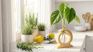 Florero de Escritorio en Espiral de Bambú, Soporte de Madera, Florero de Tubo de Ensayo, 4-6 Pulgadas de Diámetro, Decoración Minimalista para el Hogar y la Oficina - Product Image 5