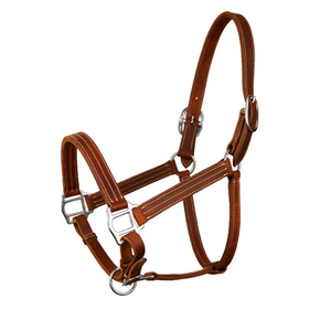 Harnais de cheval en cuir noir avec boucles en laiton et surpiqûres blanches pour l'équitation et l'entraînement - Product Image 5