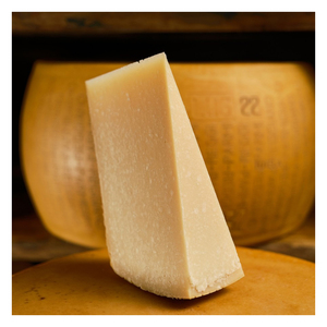 Gourmet Hard Cheese Ingredient for Premium Pasta Pizza and Restaurant Menu Development - Product Image 6