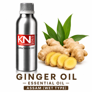 Aceite de Jengibre de Alta Calidad Assam (Tipo Húmedo) Destilado al Vapor, Certificado Orgánico, Zingiber officinale, Fabricante a Granel, Exportador Global - Product Image 1