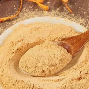 Poudre de Cordyceps 100% Biologique en Gros, Végétalienne, Sans OGM, Superaliment Herbal pour le Soutien Immunitaire et l'Énergie Naturelle, Approvisionnement en Vrac - Product Image 1