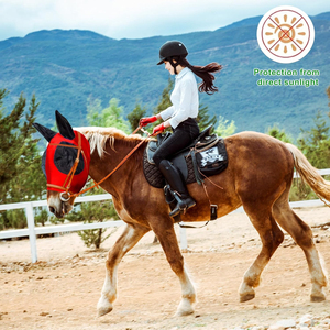 Nouvelle Arrivée Masque Anti-Mouches pour Chevaux de Haute Qualité Personnalisable Confortable avec Protection des Oreilles en Maille Polyester Respirante Meilleur Design Couleur Personnalisée - Product Image 5