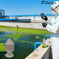 Purificador de Sedimentos para Lagos de Alto Rendimiento FB-900, Purificador de Agua Ecológico Fubangs para Lagos Paisajísticos