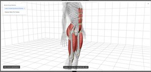 เครื่องวิเคราะห์สุขภาพร่างกายอัจฉริยะ Bodydot BDF1000 ใช้พลังงาน AI โครงอะลูมิเนียมอัลลอยด์ ไม่สามารถพับได้ ขนาด 35x35x134 ซม. วิเคราะห์ท่าทางร่างกายเต็มรูปแบบ - Product Image 6