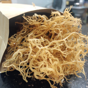 Alga Marina Cottonii de Alta Calidad de Vietnam, Material Marino Natural Seco para el Procesamiento de Carragenano, Espesante Alimentario, Suministro a Granel - Product Image 1