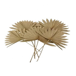 ใบปาล์มเป่าลม,ใบปาล์มดอกไม้แห้งสำหรับตกแต่งลายดอกไม้ใช้เป็นที่เก็บรักษาไว้ได้นานใบปาล์มวันแม่วันวาเลนไทน์วันคริสต์มาสขอบคุณ - Product Image 5