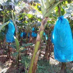 Bolsas de Plástico para Cespillos de Plátano, Bolsas de Plástico Azules de PP, Bolsas de Plástico Agrícolas de Alta Calidad, Nuevas Bolsas de Plástico Agrícolas de Primera Calidad - Product Image 5