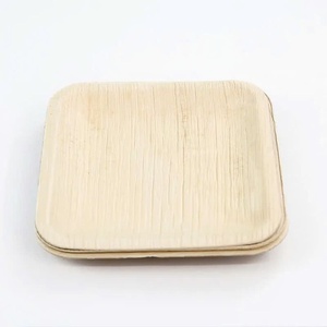 Nouvelles assiettes biodégradables à base de feuilles, 7 pouces carrées, vaisselle écologique, lot de 50 pièces pour les entrées, les fruits et les desserts - Product Image 1