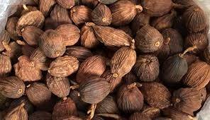 CARDAMOME NOIRE SÉCHÉE DE HAUTE QUALITÉ VIETNAM DE VDELTA WhatsApp + 84 896 611 913 - Product Image 5