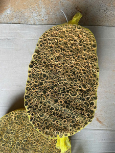 Cannelle de Cassia en brins, Cannelle Vera, Cannelle en brins d'origine Vietnamienne, Prix de gros - Product Image 5