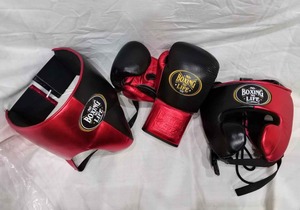 Guantes de Boxeo de Cuero Premium No Boxing No Life, Juego de Entrenamiento y Sparring de Alta Calidad, Equipo de Protección No Boxing No Life - Product Image 2