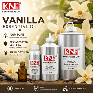 Huile Essentielle de Vanille Planifolia 100% Pure Certifiée Biologique Qualité Cosmétique Fabricant en Gros & Exportateur Mondial Grossiste - Product Image 2