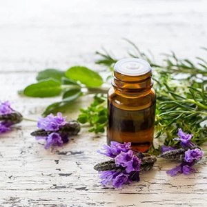Aceite Esencial de Salvia Orgánica Puro de Grado Terapéutico para Aromaterapia, Masajes, Cuidado de la Piel y Crecimiento del Cabello, Proveedor Mayorista - Product Image 2
