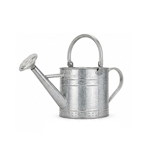 Arrosoir artisanal en métal galvanisé, outil de jardinage durable - Product Image 1