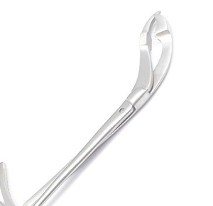 Oferta Especial: Hueso Verbrugge Médico de Primera Calidad, Precio al por Mayor, Última Tendencia, Hueso Verbrugge Ligero con Diseño Perfecto - Product Image 5