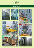 Gedroogde Mango Plakjes Geen Suiker Natuurlijke Zoete Ad Proces Vietnam 100% Mango Groothandel