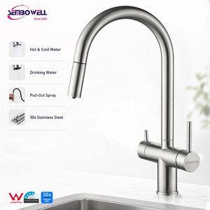 Rubinetto da Cucina Estraibile 3 Vie con Filtrazione Acqua Potabile 2 in 1 in Acciaio Inox 304 con Marchio Personalizzato - Product Image 1