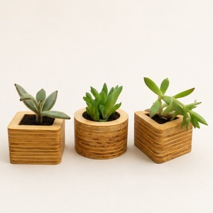 Minimalist Geometric Wooden Succulent Planter Set Eco-Friendly <b>Mini</b> Flower <b>Pots</b> for Modern Office Desktop & Home Decor - Product Image 3