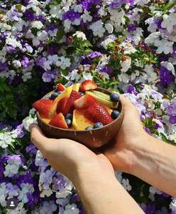 ชามเปลือกมะพร้าวงานฝีมือธรรมชาติ ผลิตภัณฑ์คุณภาพดีที่สุด วัสดุ: เปลือกมะพร้าว; ใช้สำหรับ: ตกแต่งโต๊ะ; แหล่งกำเนิด: ช่างฝีมือชาวเวียดนาม - Product Image 4