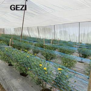 Filet anti-insectes agricole 24 32 40 mailles pour la Thaïlande et le <span class=keywords><strong>Vietnam</strong></span>, 50g-110g, protection UV, filet de serre en HDPE, couverture intégrale - Product Image 1