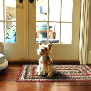 Alfombra Antideslizante de Sisal Hecha a Mano, Precio Muy Económico, Alfombra de Meditación Natural Lavable para Puerta o Pasillo, Diseño Trenzado a Máquina - Product Image 1