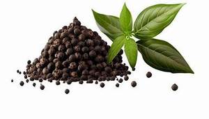 POIVRE NOIR RGPL DE HAUTE QUALITÉ DURÉE DE CONSERVATION DE 1 AN FABRIQUÉ AU TAMIL NADU - Product Image 3