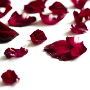 Pétalos de Rosa Secos Frescos de Granja, Naturalmente Conservados, Ricos en Color, Grado A, Proveedor de Pétalos de Rosa Secos - Product Image 4