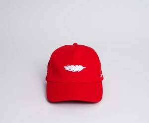 หมวกเบสบอลผ้าอ๊อกซ์ฟอร์ดสีแดง 6 แผง ปรับขนาดได้ด้วยตัวล็อคแบบ Snapback ลายตัวอักษร ดีไซน์เรียบง่าย เหมาะสำหรับกิจกรรมกีฬา ลำลอง และกลางแจ้ง - Product Image 4