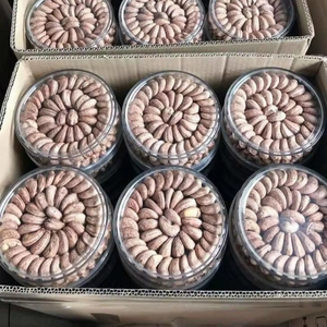 Noix de cajou du Vietnam, salées et grillées, qualité supérieure, prêtes à l'exportation, fournisseur en gros, prix abordable - Product Image 1