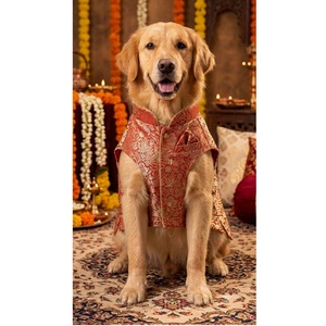Sherwani Étnico de Primera Calidad para Mascotas, Diseño Tradicional Indio, Bordado Elegante, Ropa Festiva y Elegante para Mascotas - Product Image 1