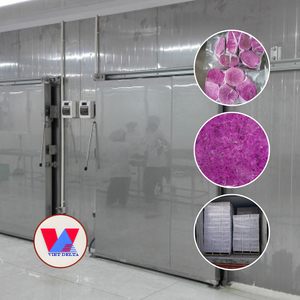 Yam Morado Congelado en Rodajas y Entero, Empaque a Granel de 10 kg - Raíz Morada de Calidad de Exportación para Venta al por Mayor y Suministro a Restaurantes - Product Image 2