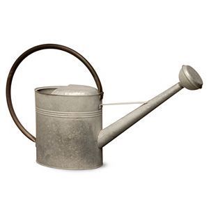 Regadera de metal resistente para jardín, para plantas de jardín doméstico, regadera de acero resistente al óxido con pico largo para facilitar la regar de las plantas - Product Image 2