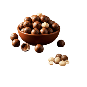 Mejor Precio, Calidad de Exportación, Fábrica en Vietnam, Deliciosas y Naturales Nueces de Macadamia Más Vendidas, Empacadas en Bolsa de 10 kg - Product Image 3
