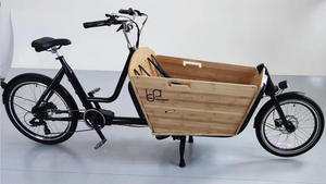 Vélo cargo électrique 36V avec cadre en aluminium, moteur sans balais <span class=keywords><strong>et</strong></span> batterie au lithium, grande capacité, pour usage extérieur - Product Image 2