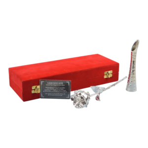 Rose véritable trempée dans l'argent avec support en laiton indien, coffret de luxe, meilleur cadeau de Noël, de mariage et de la Saint-Valentin - Product Image 5