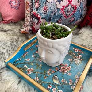 ถาดเสิร์ฟพุดดิ้งทรงสี่เหลี่ยมขนาดคิงไซส์ลายธรรมชาติทันสมัย ถาดเสิร์ฟเคลือบลายพิเศษพร้อมฝาปิดอเนกประสงค์สำหรับส่งออกต่างประเทศ อินเดีย - Product Image 2