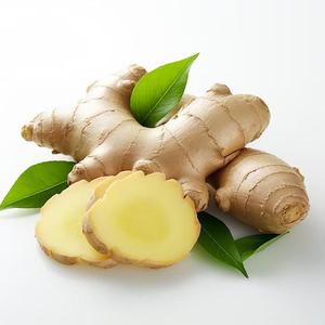 Gingembre frais du Vietnam de haute qualité pour le mobilier d'extérieur Propre et à prix compétitif - Product Image 4