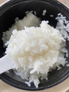 ARROZ CALROSE DE GRANO MEDIANO DE GRAN TAMAÑO / ARROZ CAMOLINO PARA EL MERCADO DEL MEDIO ORIENTE - MARCA OEM Por VILACONIC (Sra. Ellen) - Product Image 3