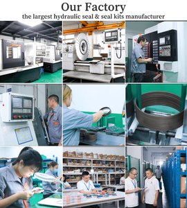 G110050 1543256C1 Loaderbak Kantelcilinder Afdichtingsset Geschikt voor <span class=keywords><strong>Case</strong></span> Graaflader 580K 580SK <span class=keywords><strong>580</strong></span> Super <span class=keywords><strong>K</strong></span> L 680L 780D 580L 588G - Product Image 5