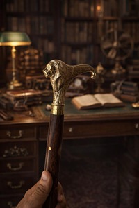 Bâtons de marche rustiques modernes en bois naturel écologique avec poignée en laiton poli, idéaux pour les cadeaux - Product Image 2