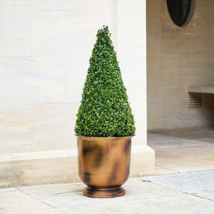 Best Pure Copper <b>Planters</b> With Bronze <b>Planter</b> Rounded Shape <b>Planters</b> pots with Shinny Antique Finishing At wholesale Price - Product Image 4