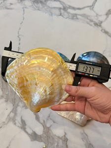 PLAT EN COQUILLE POLI 15-30CM |   Perle brillante 100% naturelle rose, noire et jaune |   PLAQUE À LUSTRE RAINBOW MULTICOLORE - Product Image 5