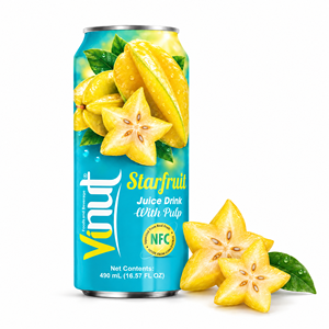 Jugo de Carambola con Pulpa 490ml NFC en Caja, Bebida de Fruta con Sabor a Puré, Fábrica de Vietnam - Product Image 1